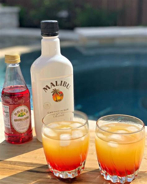 In a cocktail mixing glass, add the pineapple juice. Malibu Sunset Cocktails - The Cookin Chicks | Recipe ...