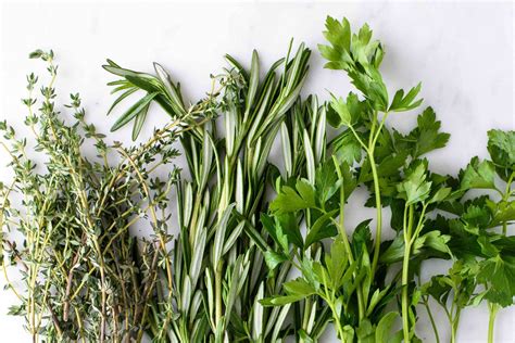 13 Herbs For Lymphatic System Healthy Huemans