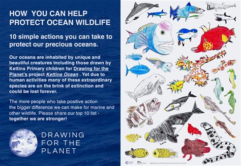How You Can Help Protect Marine Wildlife Drawing For The Planet