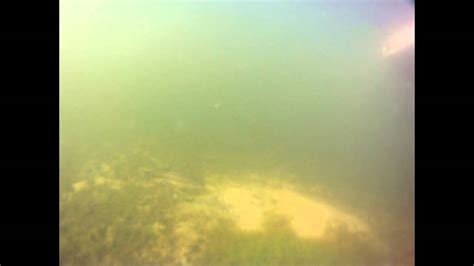 Underwater Footage Of Spawning Largemouth Bass Protecting A Bed Youtube