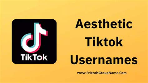 Aesthetic Tiktok Usernames 2024