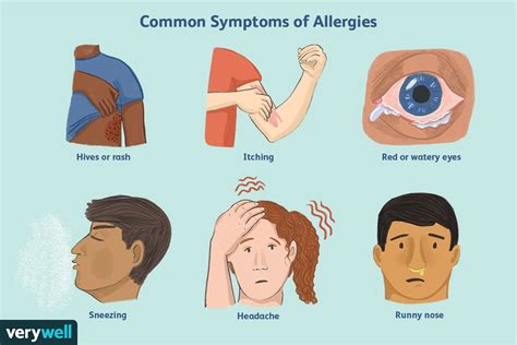 Zijn Allergieën Erfelijk Med Nl