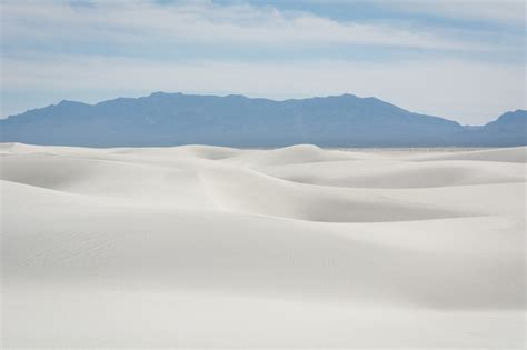 Ghost Tracks Of White Sands Archaeology Magazine