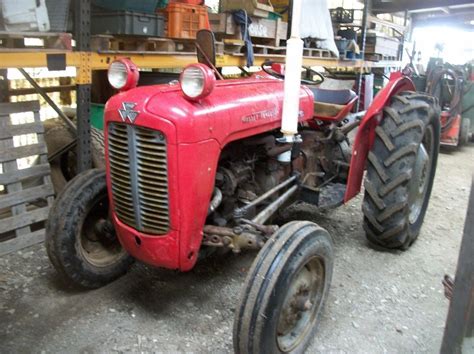 Massey Ferguson Tractor Mf 35 3 Cylinder Diesel 1960 Tax Exempt V5 £