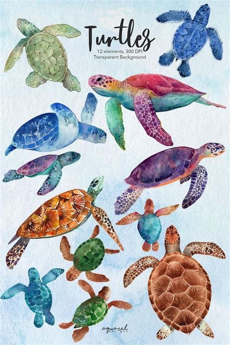 Pin By Mr D Jr ART On Water Color Watercolor Sea Sea Turtle Art