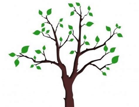 Tree Clip Art 175 Free Clip Art Trees Hubpages