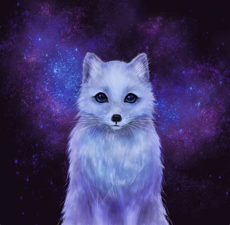 Arctic Fox Color Version Ii Art Print By Aria Illustration X Small Arctic Fox Art Fox