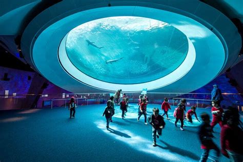 phillip and patricia frost museum of science is one of the very best things to do in miami