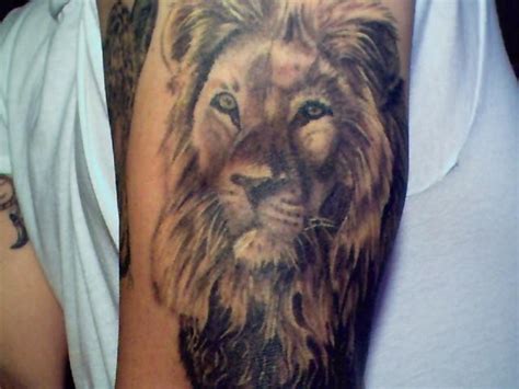 Lion Tattoo Meaning Tattoosphoto