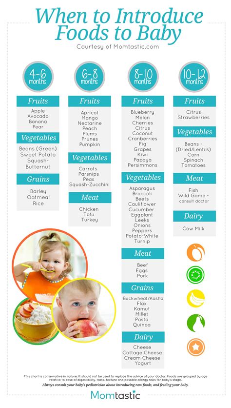 Introducing Solids A Month By Month Schedule Baby Food Recipes Baby