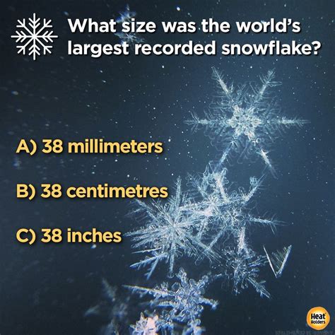 We Didnt Know That Snowflakes Could Be So Big Can You Guess The