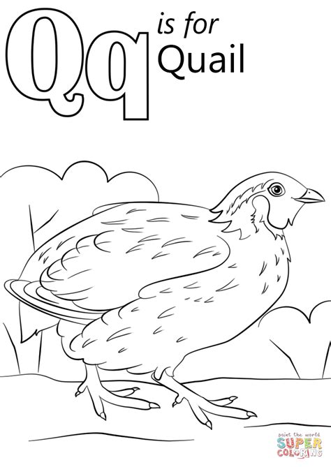 Letter Q Is For Quail Super Coloring In 2023 Abc Coloring Pages