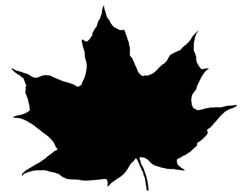 Leaf Silhouette Free Stock Photo Public Domain Pictures