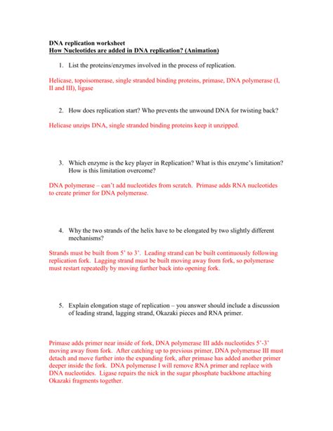 Dna replication practice worksheet name per. Dna Structure And Replication Worksheet / Dna Replication and Transcription Worksheet Answers ...