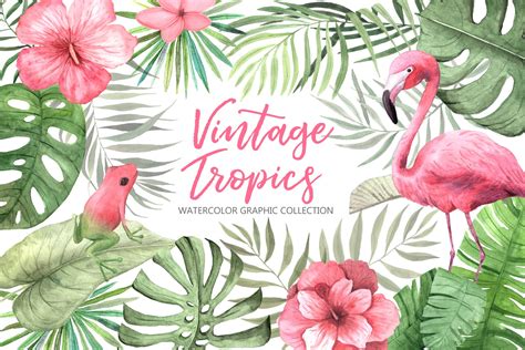 Watercolor Vintage Tropical Set 181232 Illustrations Design Bundles