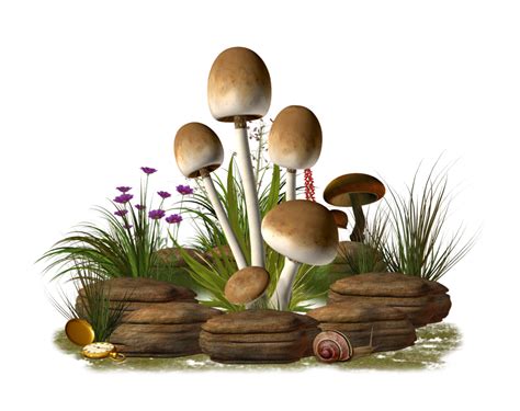 Mushrooms Clipart Alice In Wonderland Mushroom Mushrooms Alice In