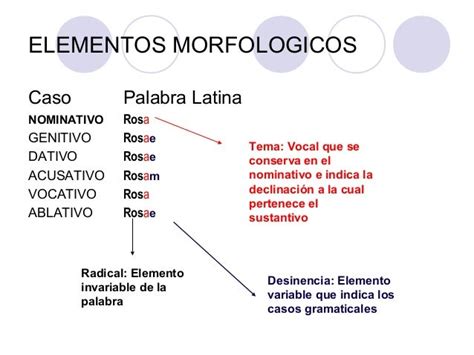 Estructura Morfologica De Palabras Ejemplos 2020 Idea E Inspiración