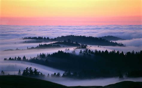 Beautiful Photos Of Fog Over California Landscapes Travel Leisure