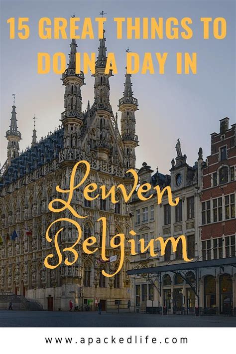 15 Great Things To Do In A Day In Leuven Near Brussels Belgium
