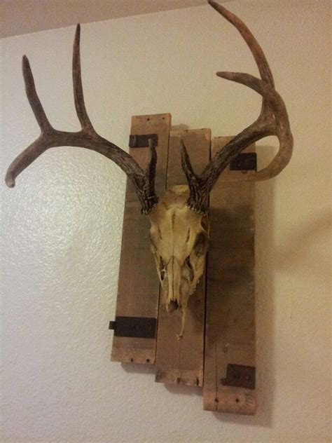 Display as is or use antlers to hold wreath.size: c9abc43a05922280aa1c5bfc6aa58918.jpg (612×816) | Deer ...