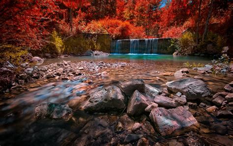 1094228 Trees Landscape Colorful Forest Leaves Waterfall Water
