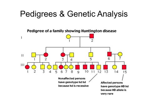 How To Read A Pedigree Slide Share