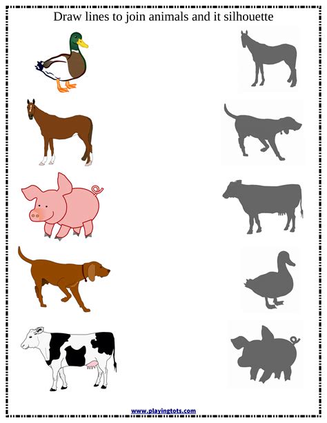 Wild Animals Chart For Kindergarten Animals Cutes
