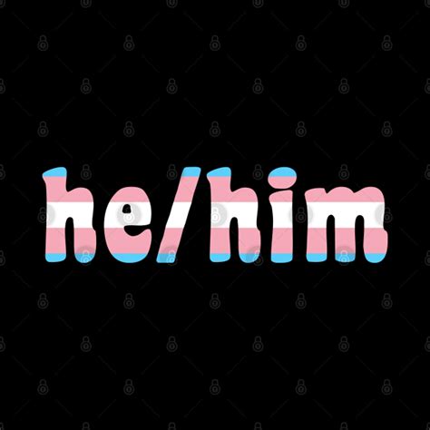 Hehim Pronouns With Trans Flag Pronouns Pin Teepublic