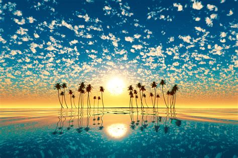 Palm Trees Reflection Sunset Wallpaper Hd Nature 4k Wallpapers Images