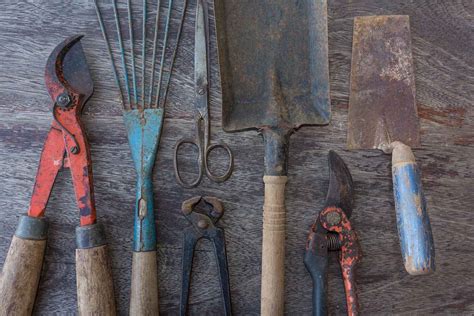 How To Get Rid Of Rust On Garden Tools Natural Ways To Get Rid Of