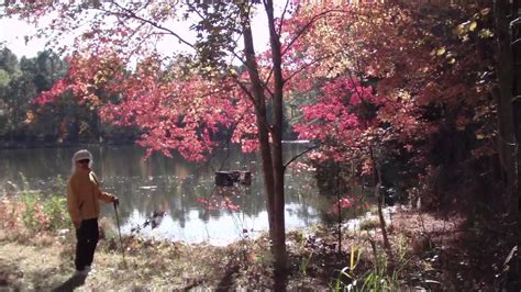 Fall Foliage At Durant Nature Park Raleigh Nc Youtube