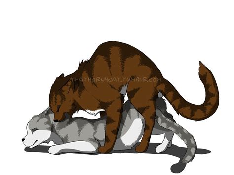 Post 2411210 Hawkfrost Ivypool Thathornycat Warrior Cats