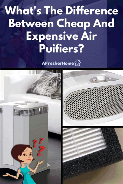 Whats The Difference Between Cheap And Expensive Air Purifiers In