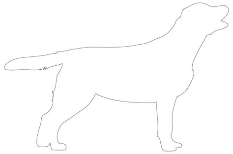 German Pointer Template Printable Dog Outline
