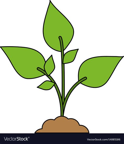 Plants Cartoon Images Plants Potted Plant Cartoon Clipart Green Clip
