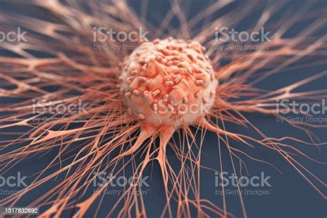 Human Cancer Cell Stock Photo Download Image Now Cancer Cell