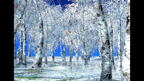 White Birch Tree Forest Winter Season Youtube