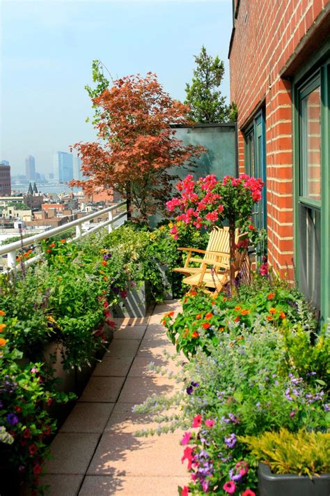Balcony Garden With Lush Evergreens And Perennials Hgtv