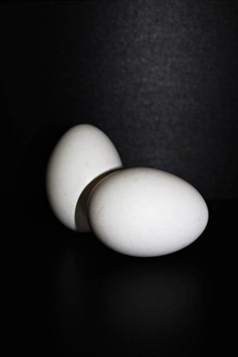 Two White Chicken Eggs Free Image Download