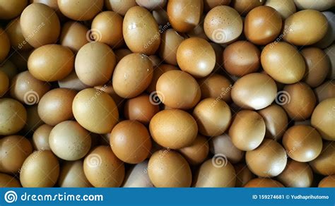 What do you guys like to maje that takes a lot of eggs? The Lots of Chicken Eggs stock image. Image of newborn - 159274681