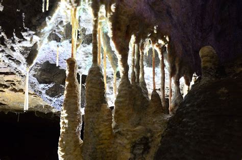 In Pictures Stalagtites Stalagmites And Hidden Creatures Of Pooles