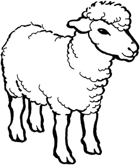 The printable sheep coloring pages also available in pdf file. Bighorn Sheep Coloring Page at GetColorings.com | Free ...