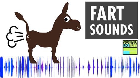 Fart Sounds Mp3 Mp3views