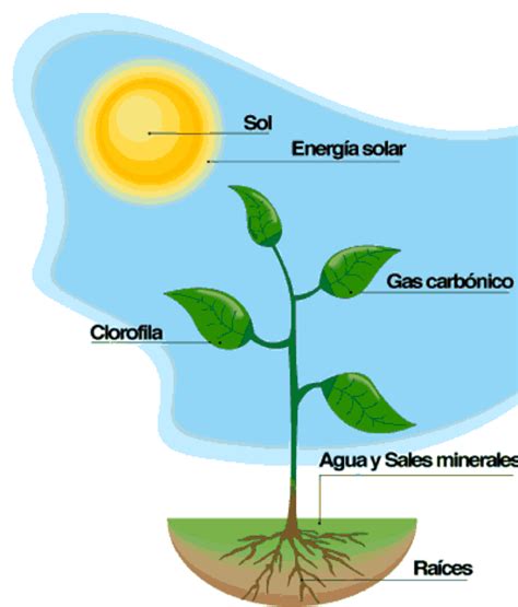 Sintético 102 Foto Energia Que Se Obtiene Del Reflejo De La Luz Solar