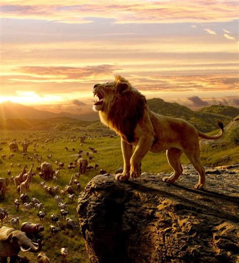 If you do not find the exact resolution you are looking for, then go for a native or higher resolution. Wallpaper Simba, The Lion King, Roar, Cliff - WallpaperMaiden