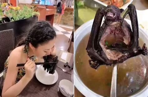 Top 10 Disgusting Foods The Chinese Eat Top 10 Unknown