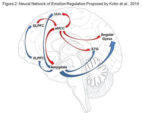 Dont Go Wasting Your Emotion The Process Model Of Emotion Regulation