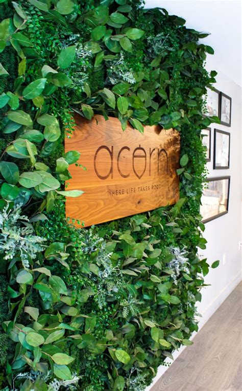 Artificial Greenery Wall Greenscape Design And Decor