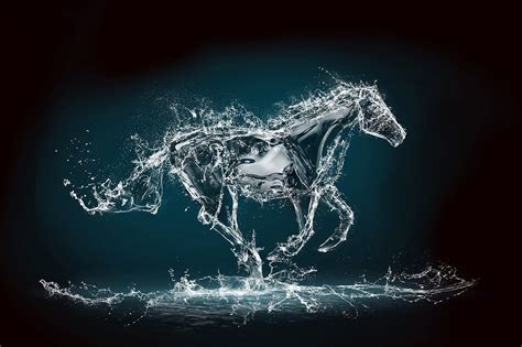 Amazing Water Horse Free Wallpaper Download Download Free Amazing