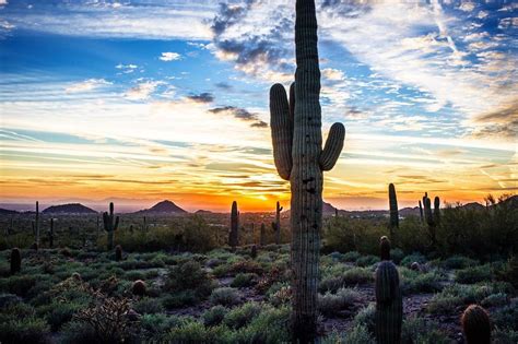 Usery Mountain Regional Park Is The Perfect Place To Catch A Beautiful
